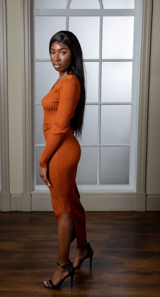 Brown Soft Knitted Ribbed Bodycon Dress
